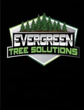 Avatar for Evergreen Tree Solutions
