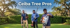 Ceiba Tree Pros logo