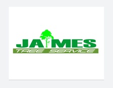 Avatar for Jaimes Tree Service