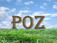 Avatar for POZ Engineering & Environmental Consulting