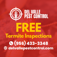Avatar for RGV Termite and Pest Control