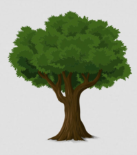 Avatar for JC Tree Cutting and Landscaping Services