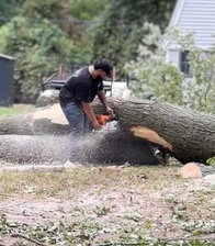 Avatar for Wakefields