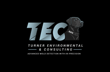 TURNER ENVIRONMENTAL & CONSULTING LLC logo