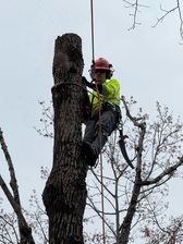 Avatar for Kam's Cutting and Climbing