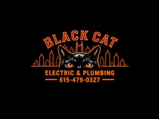 Avatar for Black Cat Electric And Plumbing LLC