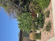 Avatar for Bogaardts llc