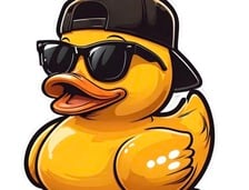 Avatar for Clean Ducks LLC