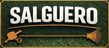 Avatar for Salguero Lawn care