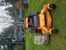 Avatar for THE STRENGTH LAWNS CARE