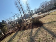 Avatar for VLC LANDSCAPING LIMITED LIABILITY COMPANY