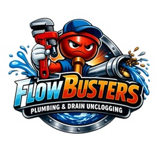 Avatar for Flow busters LLC