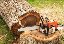 Avatar for J.P. Tree Service