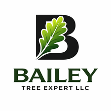 Avatar for Bailey Tree Expert LLC