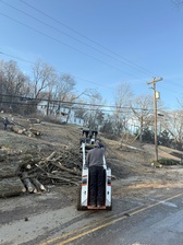 Avatar for KC Tree Service