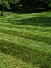 Avatar for Wellington Landscaping