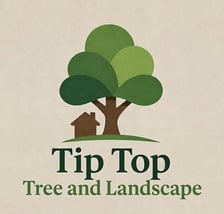 Avatar for Connor Tree Care