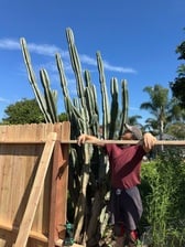 Avatar for GHM Handyman