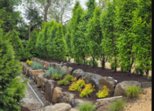 Avatar for HG Services