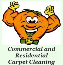 Citrusolution Hall County, LLC logo