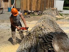 Avatar for Wyatt Lussier