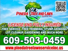 Logo for PINEDA TREE & LAWN SERVICE, INC.