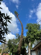 Avatar for Josue Lanscaping