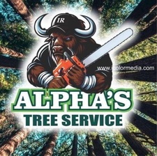 Avatar for Alphas Experts