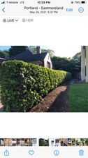 Avatar for RIVAL LANDSCAPING LLC