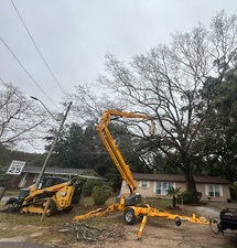 Avatar for Timber Falls Landscaping & Tree Service LLC
