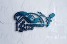 Avatar for HSR Painting LLC