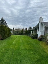 Avatar for Montana Landscaping Maintenance, LLC