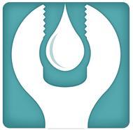 Pro Piping, Inc. logo