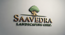 Avatar for Saavedra Landscape