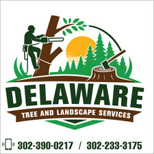 Logo for DELAWARE TREE AND LANDSCAPING SERVICES, LLC