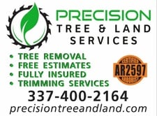 Avatar for Precision Tree And Land Services
