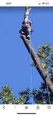 Avatar for Viewpoint Tree Service & Property Management LLC