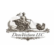 Avatar for deosvectura llc