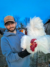 Avatar for Luxpoultry