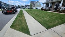 Avatar for Coops Lawncare
