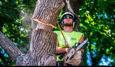Avatar for Maximum Tree Services & Landscaping, LLC