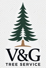 Avatar for V&G TREE SERVICE