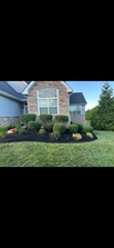 Avatar for Rodriguez Landscaping