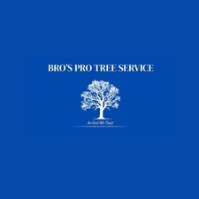 Avatar for Bros Pro Tree Service