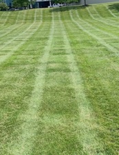 Avatar for HOMEWORTH LANDSCAPE & MANGEMENT LLC