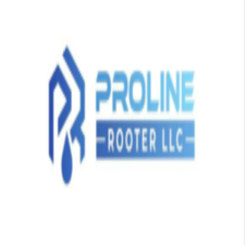 Avatar for Proline Rooter LLC