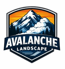 Avatar for Avalanche Landscape