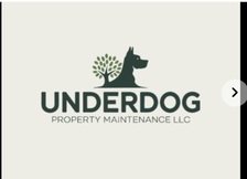 Avatar for Underdog Property Maintenance LLC