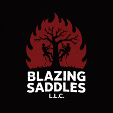 Avatar for Blazing Saddles