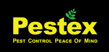 Avatar for Pestex